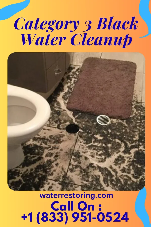 Category 3 Black Water Cleanup in Eufaula, AL